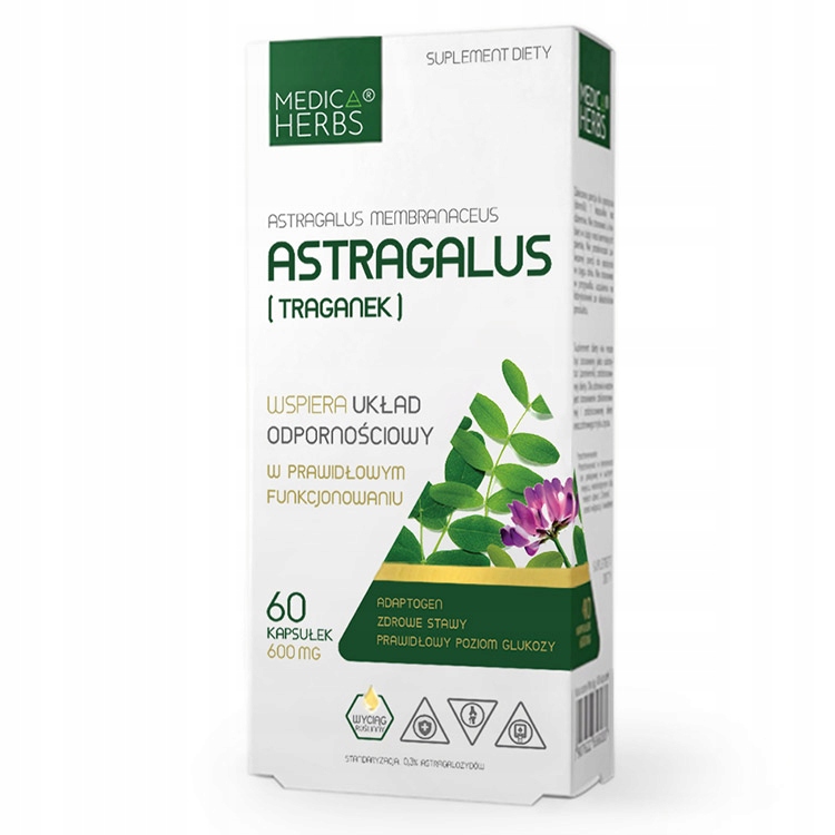 

Astragalus Traganek Odporność Stawy Medica Herbs