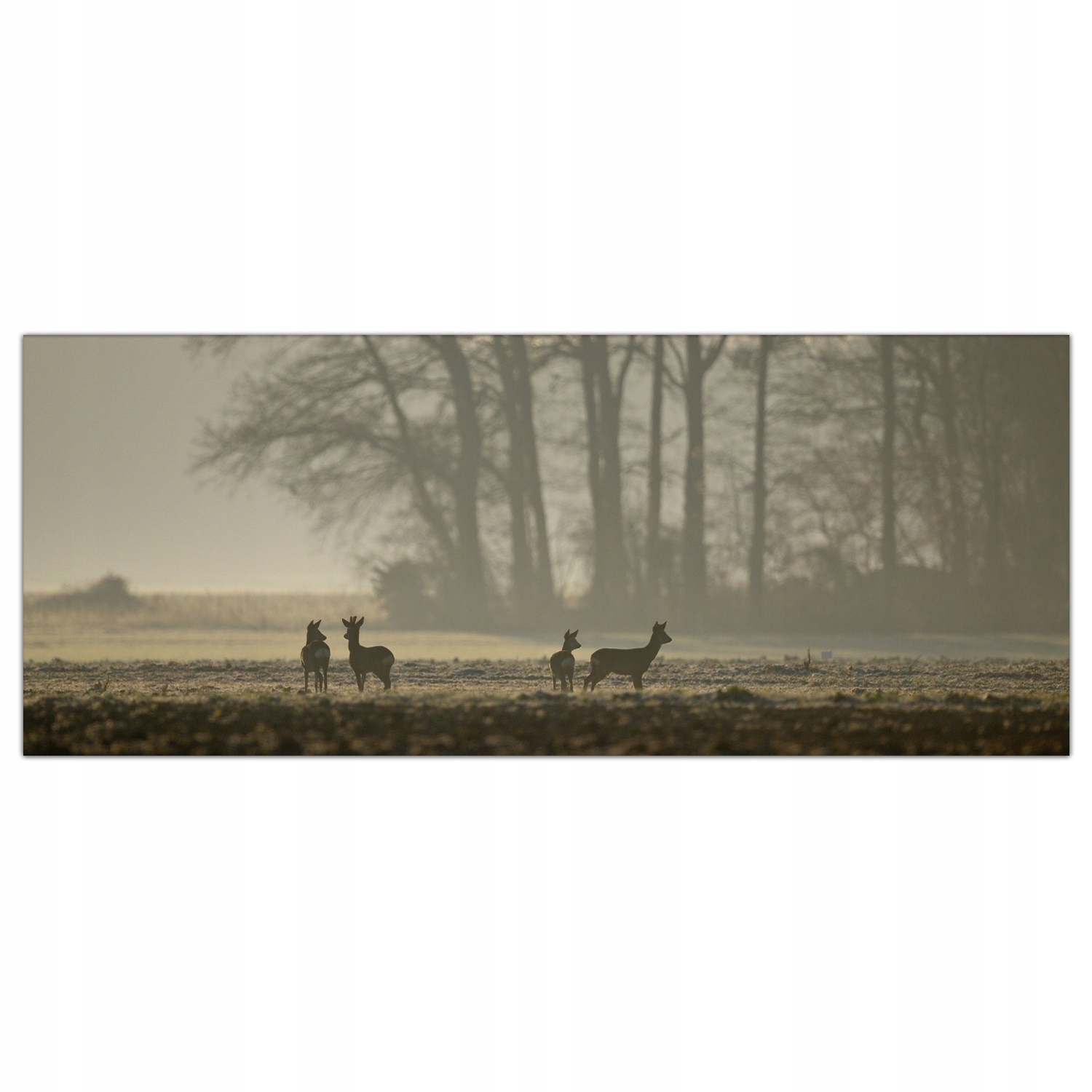 

Obraz Szklany Foto-obraz Jeleń Mgła Pole 125x50
