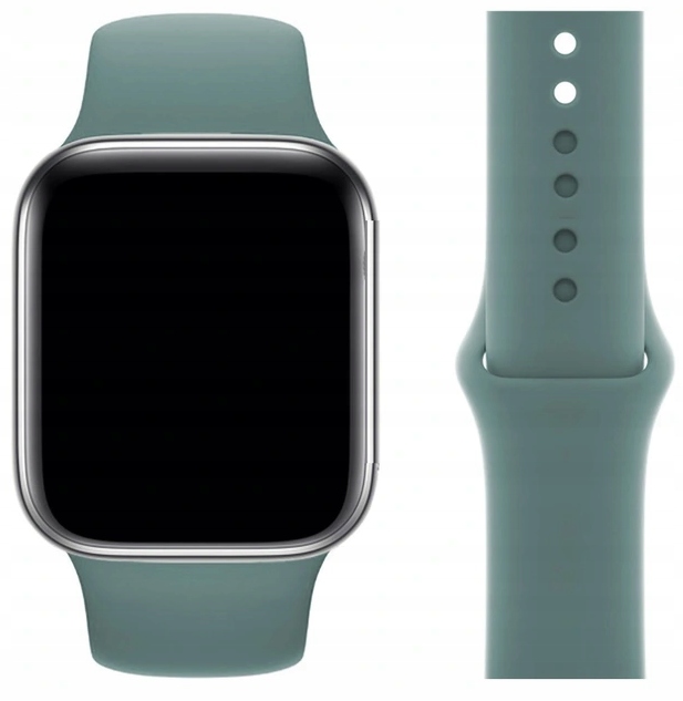 

Pasek Do Apple Watch 3 4 5 6 7 Se 42 44 45 mm