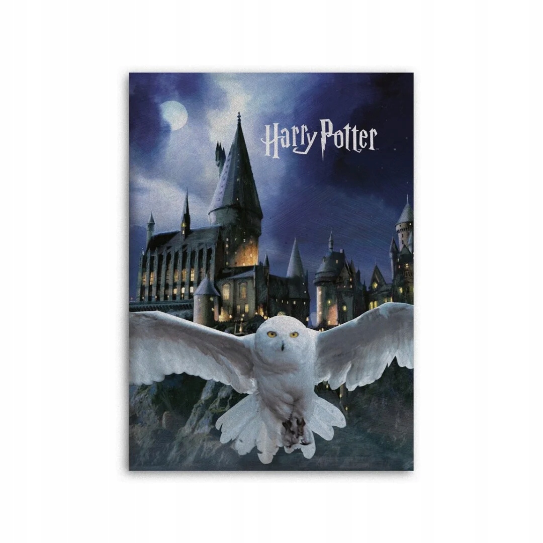 

Harry Potter Hedwiga Hogwart Koc Polarowy 100x140