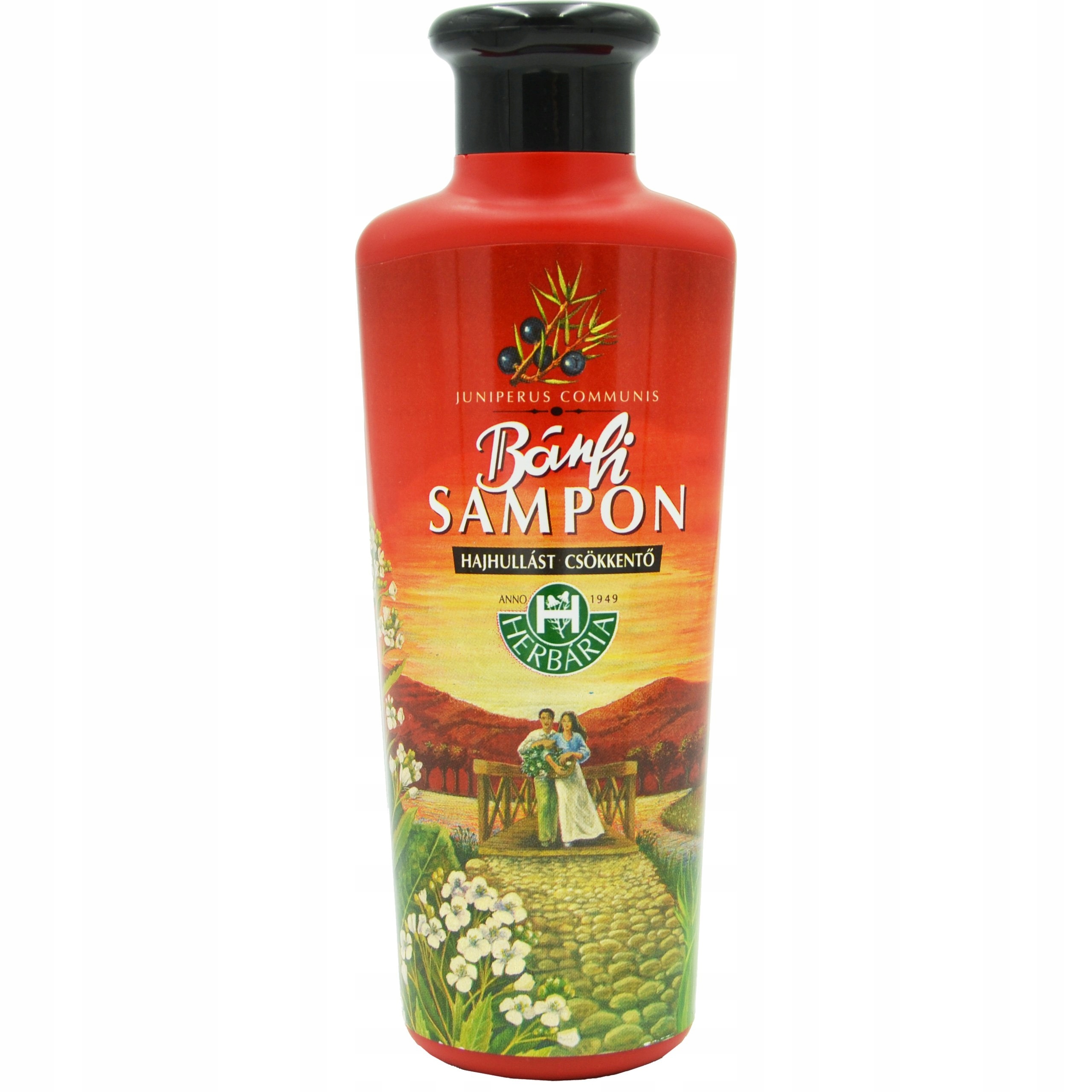 

Banfi szampon 250ml