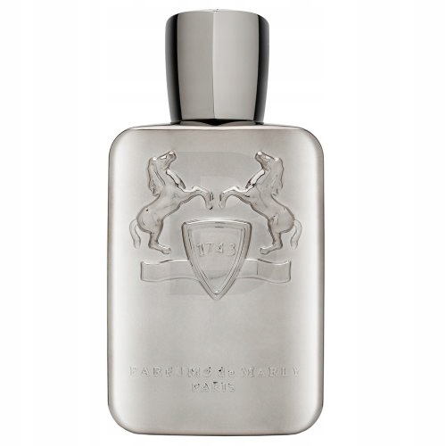 Parfums de Marly Pegasus parfémovaná voda pro muže 125 ml