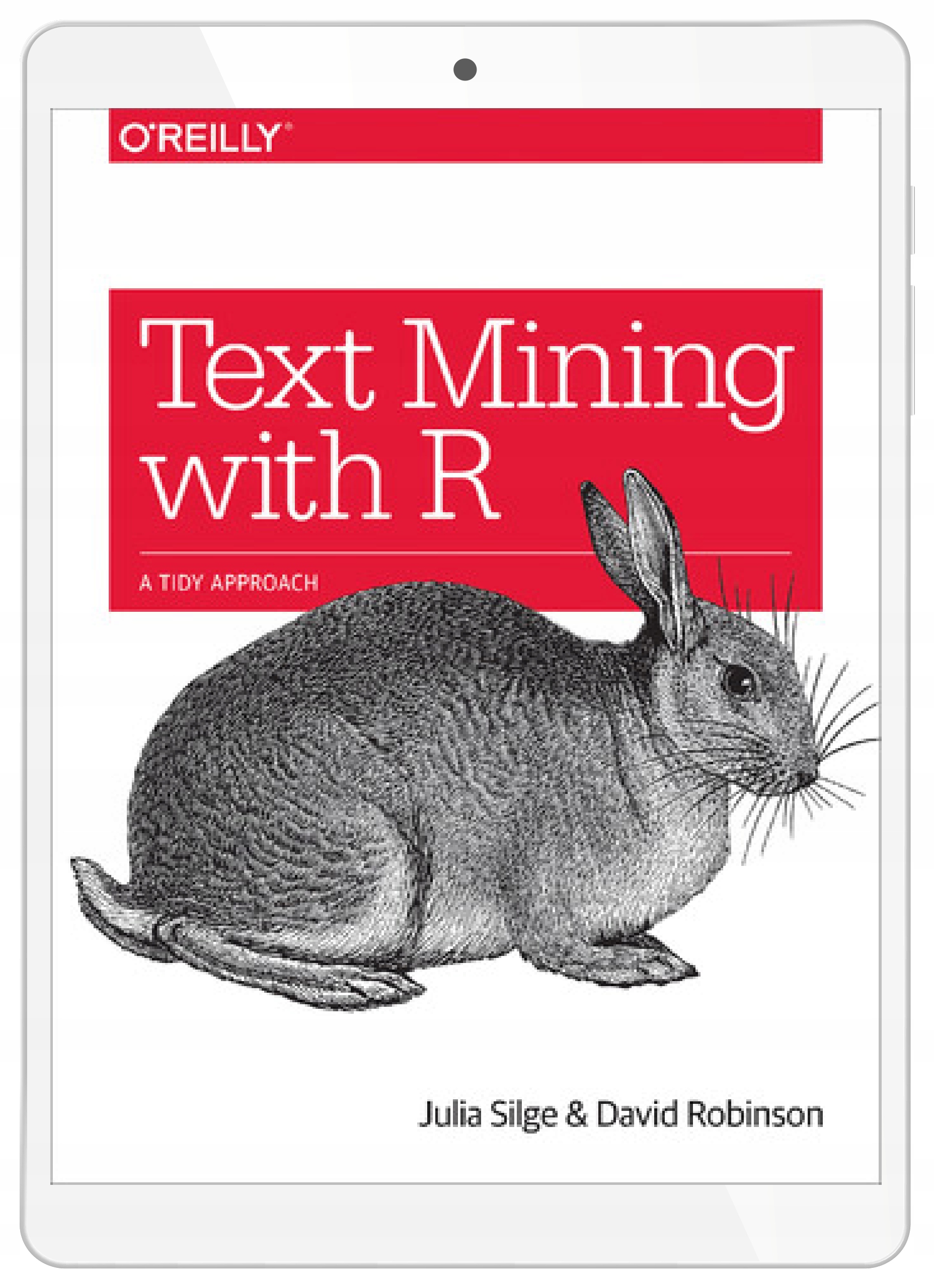 Text Mining with R. A Tidy Approach