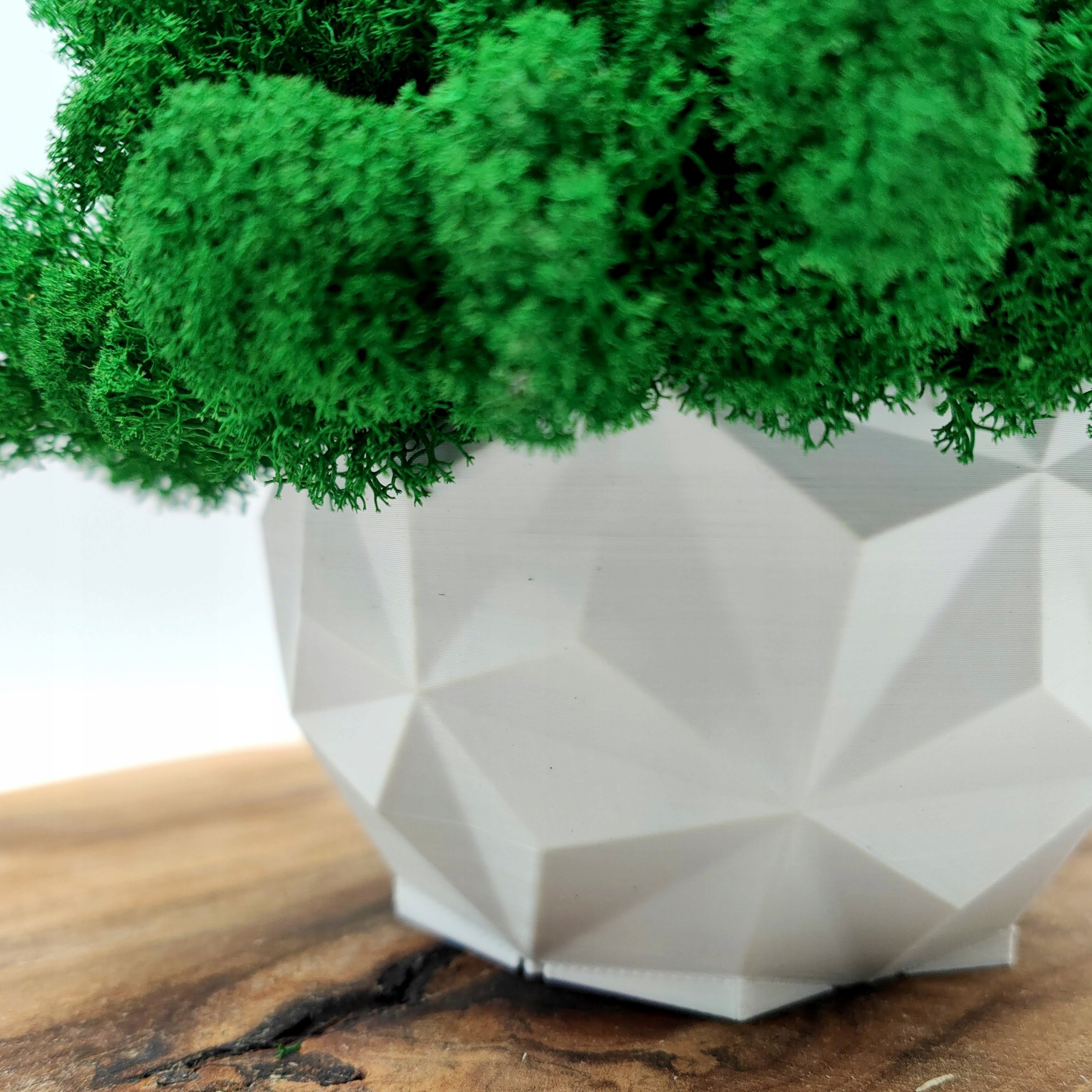 Doniczka z mchem chrobotkiem MECH CHROBOTEK w doniczce biała druk 3d #2 Szerokość produktu 18 cm