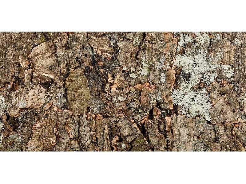 Korková stěna z dubové kůry Virgin 60/30 cm