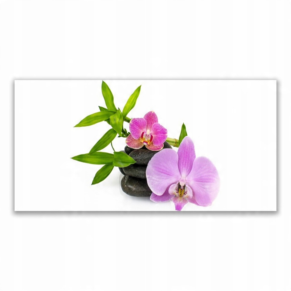 

Fotoobraz na ścianę 120x60 Kwiat Orchidea Roślina