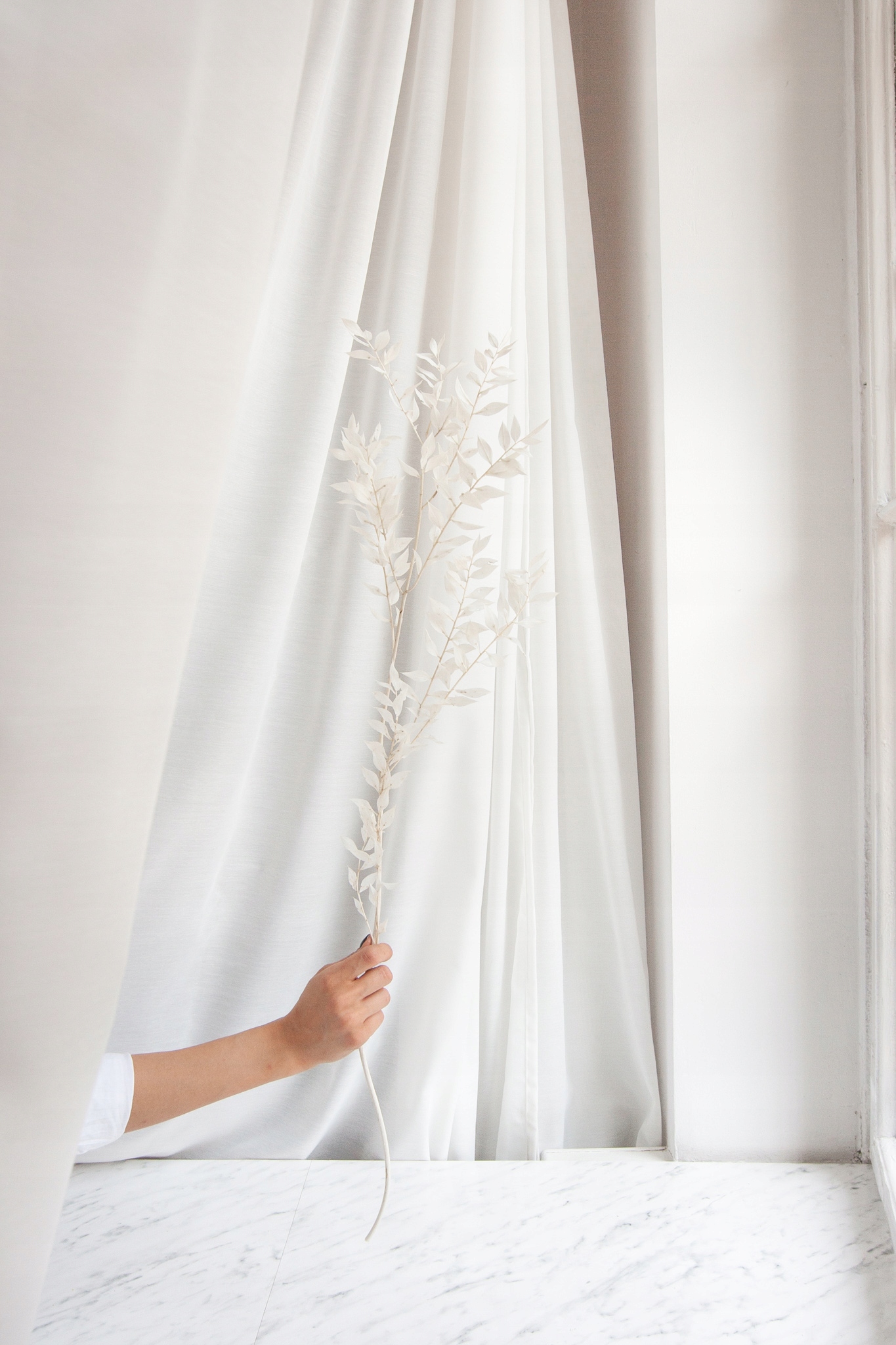 RUSKUS BIELONY RUSZCZYK do wazonu RUSCUS suszony Marka inna