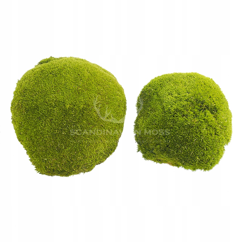 Mech Poduszkowy Gigant 2 sztuki