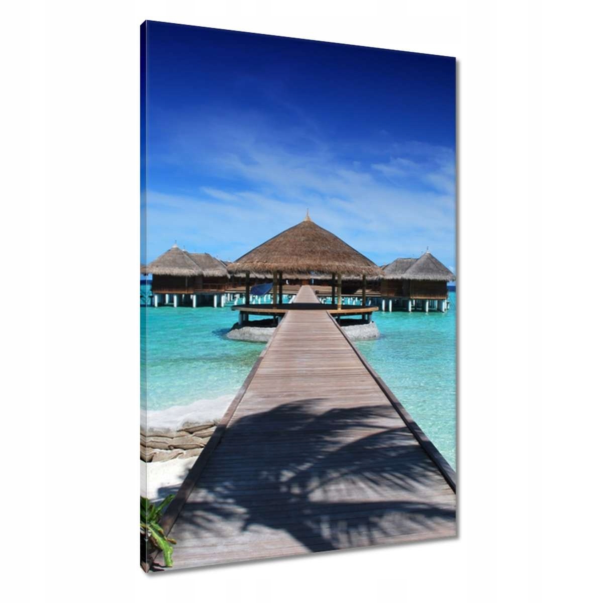 Obrazy 60x90 Tropiky