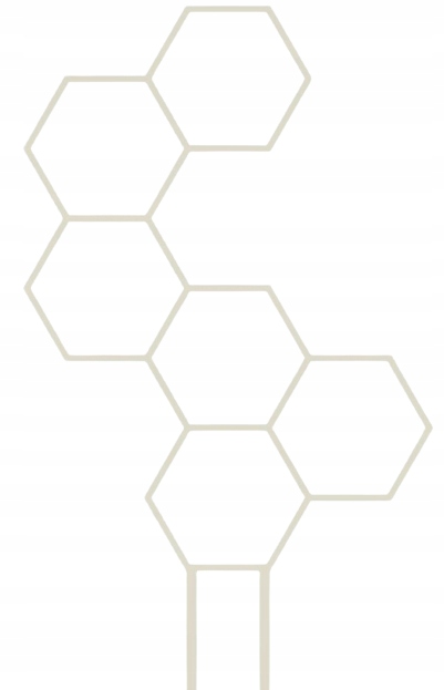 

Podpórka Drabinka Kwiatów 6 Miodów Biała XL 48 cm