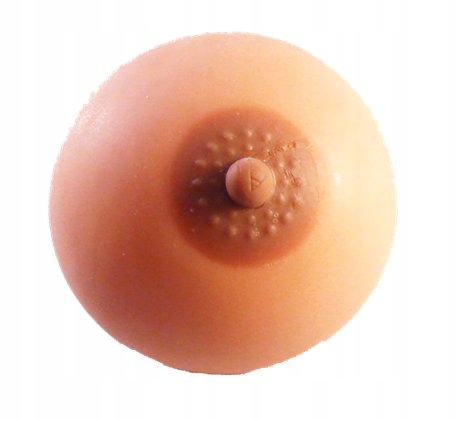 

Cycek antystresowy średni