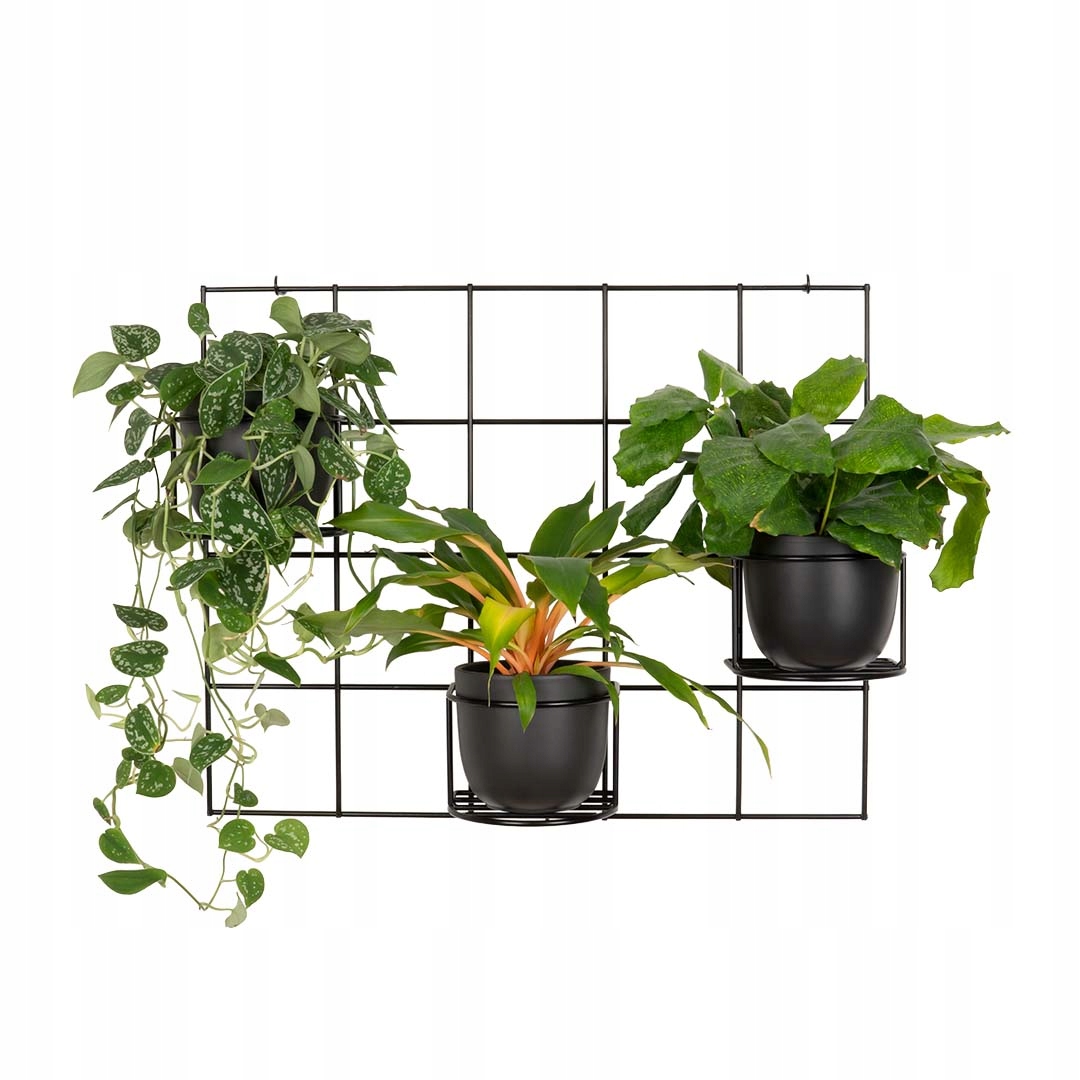 Držiak Na Kvetináč Hedera 3 mriežka a 3 košíky na stenu, zelená stena, farba čierna