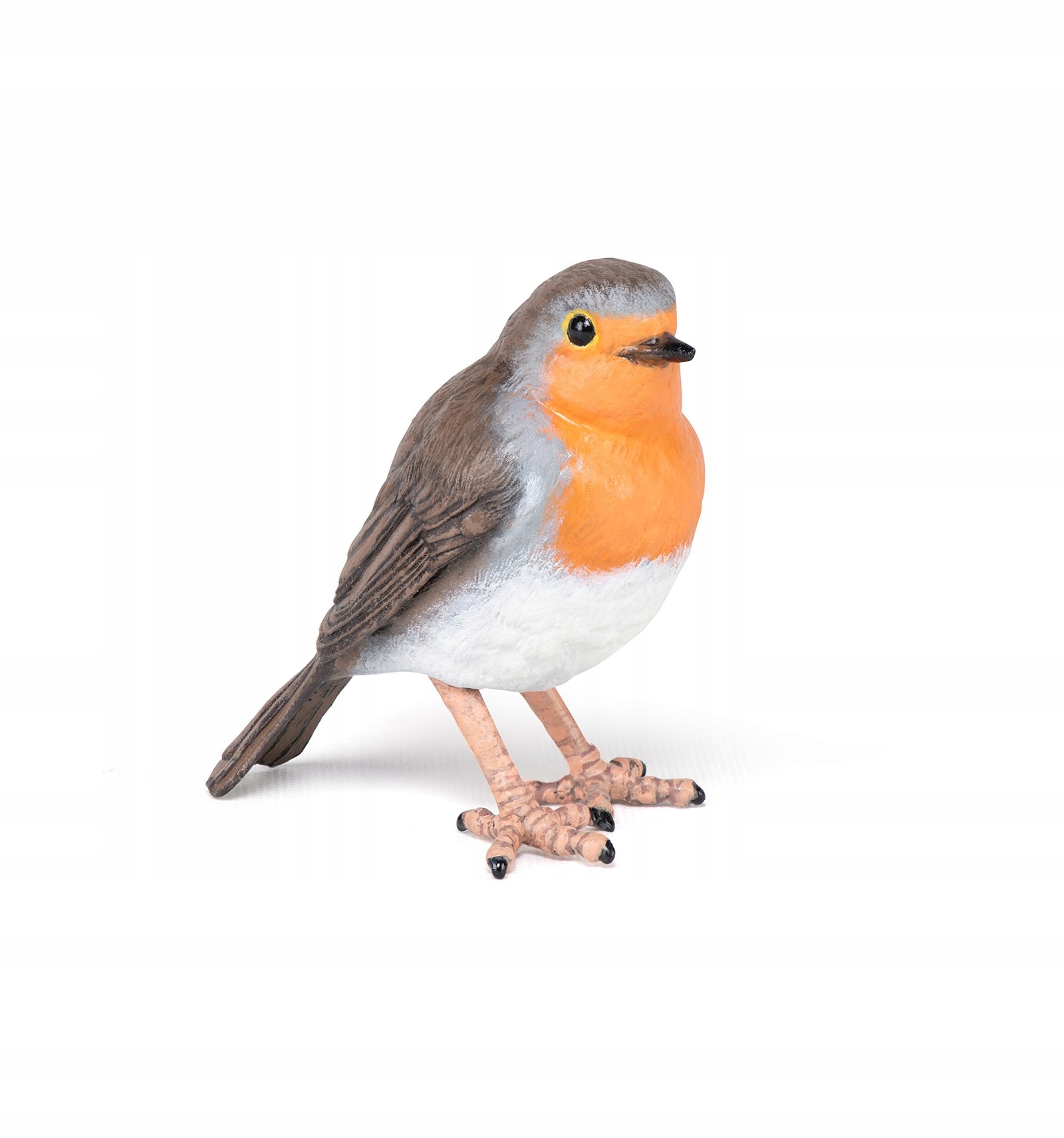 

Ptak Rudzik Robin Papo 50275