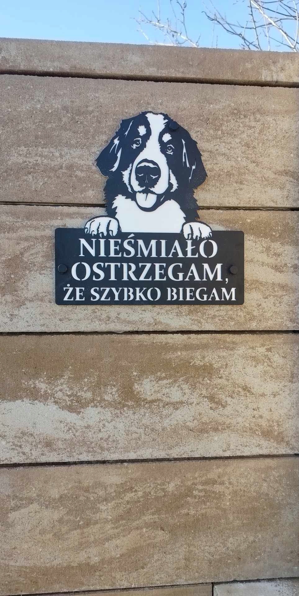 Tabulka na branku oplocení výstražná zábavná Bernský pes