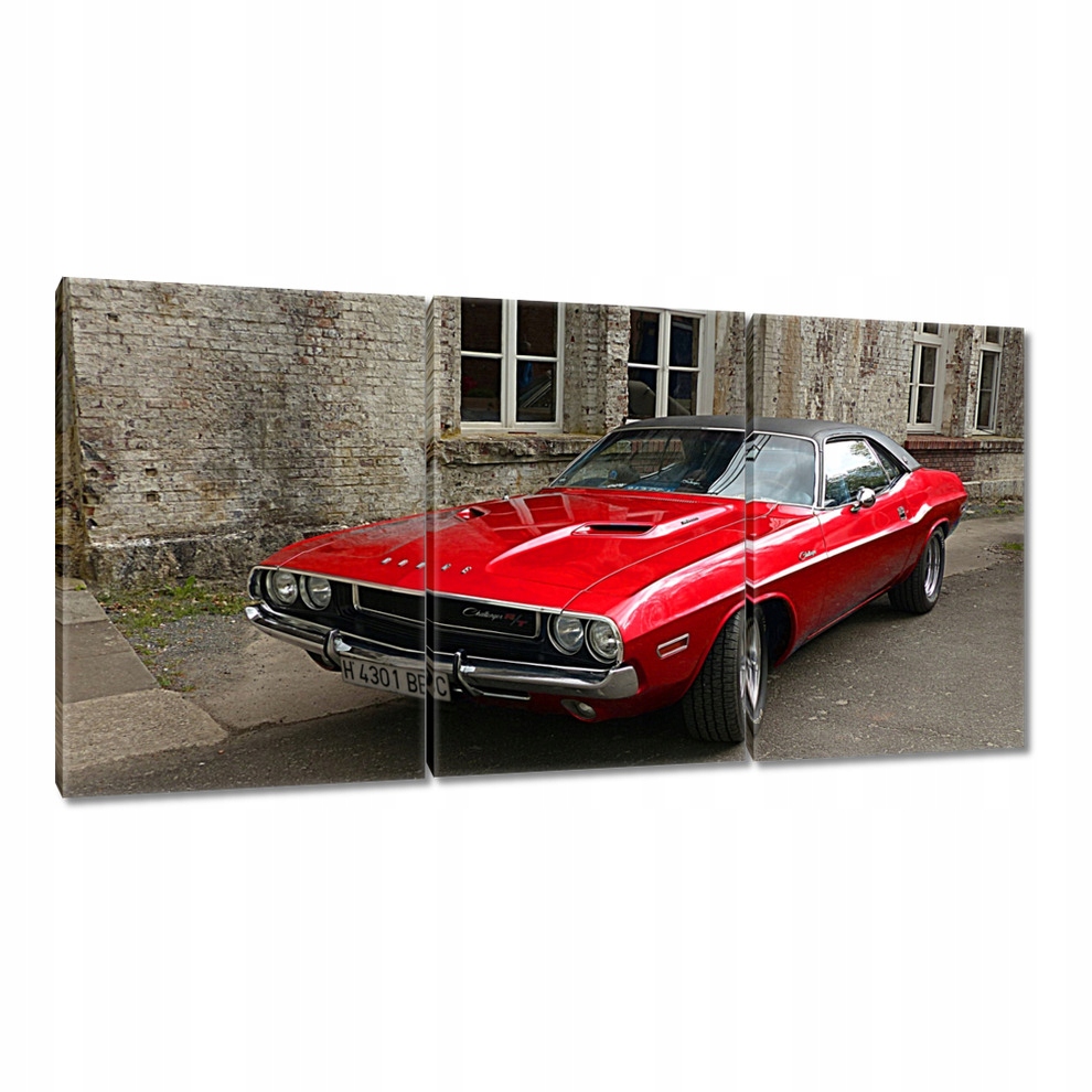 

Obrazy 120x60 Dodge Challenger Rt Auto