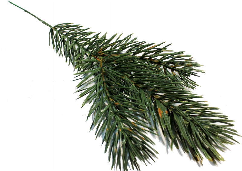 

Świerk Śliczna Gałązka Zielona 26 cm
