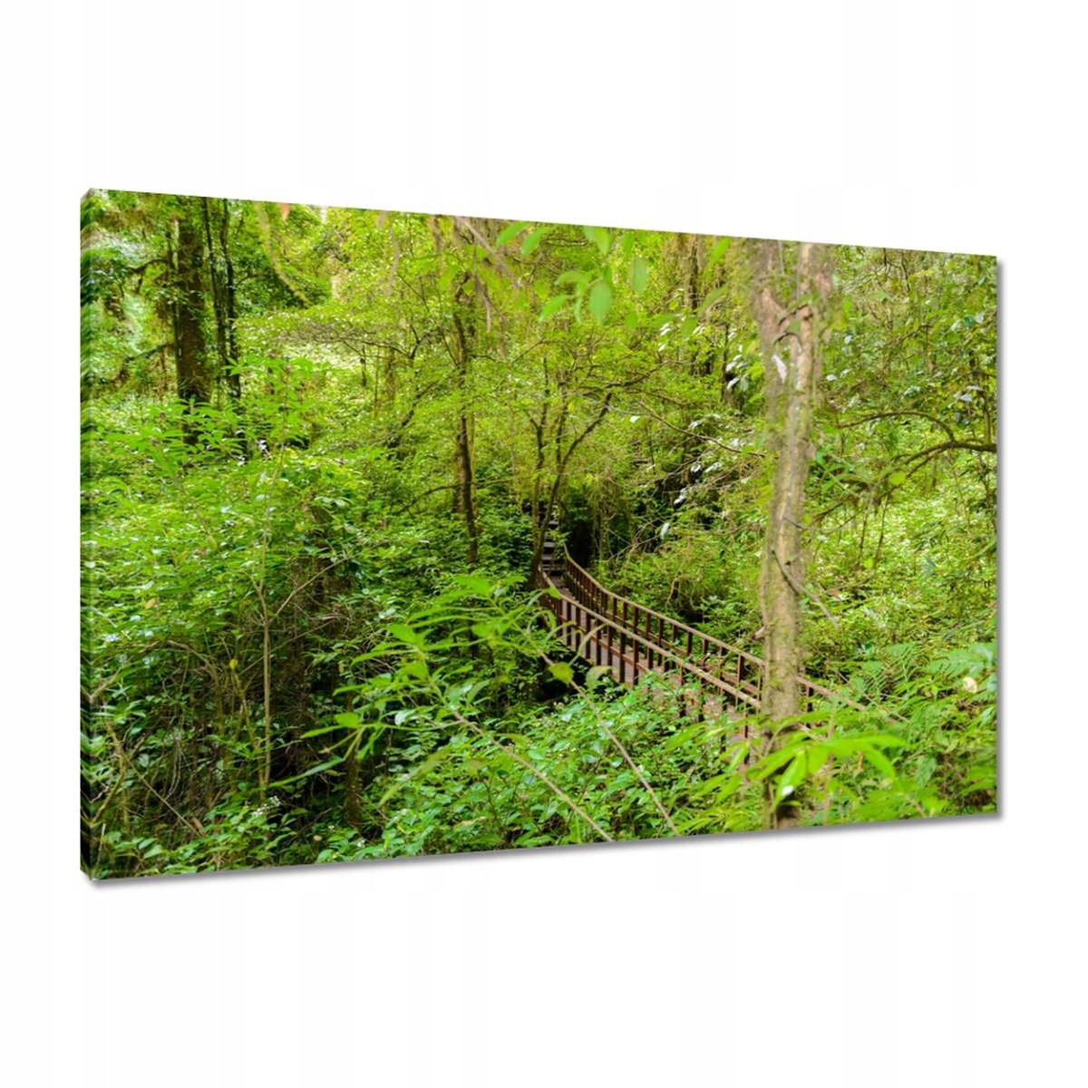Obrazy 90x60 Krajinný park