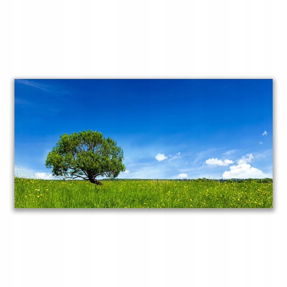 

Obraz na ścianę ścienny 120x60 Trawa Drzewo Natura