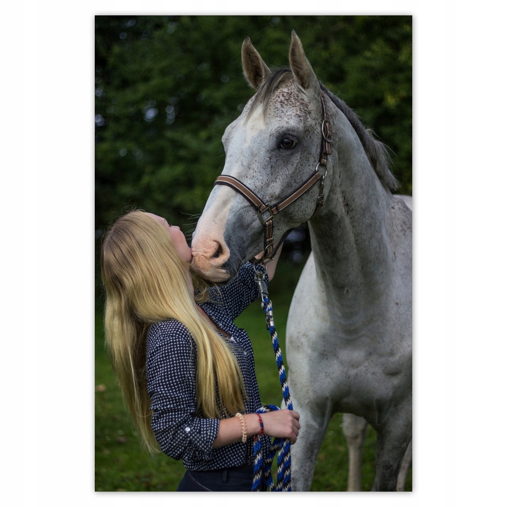 

Plakaty 62x93 Koń Dziewczyna Miłość