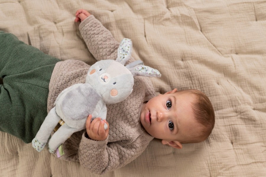 Taf Toys Muzyczny królik Rylee Rodzaj pozytywki