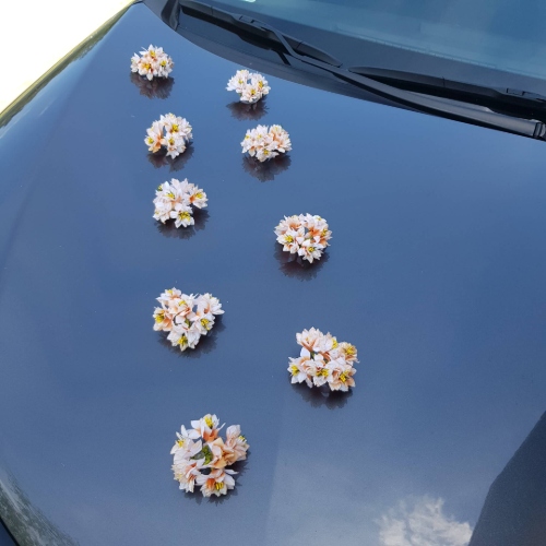 

Dekoracja samochodu ozdoby auto ślub brzoskwinia