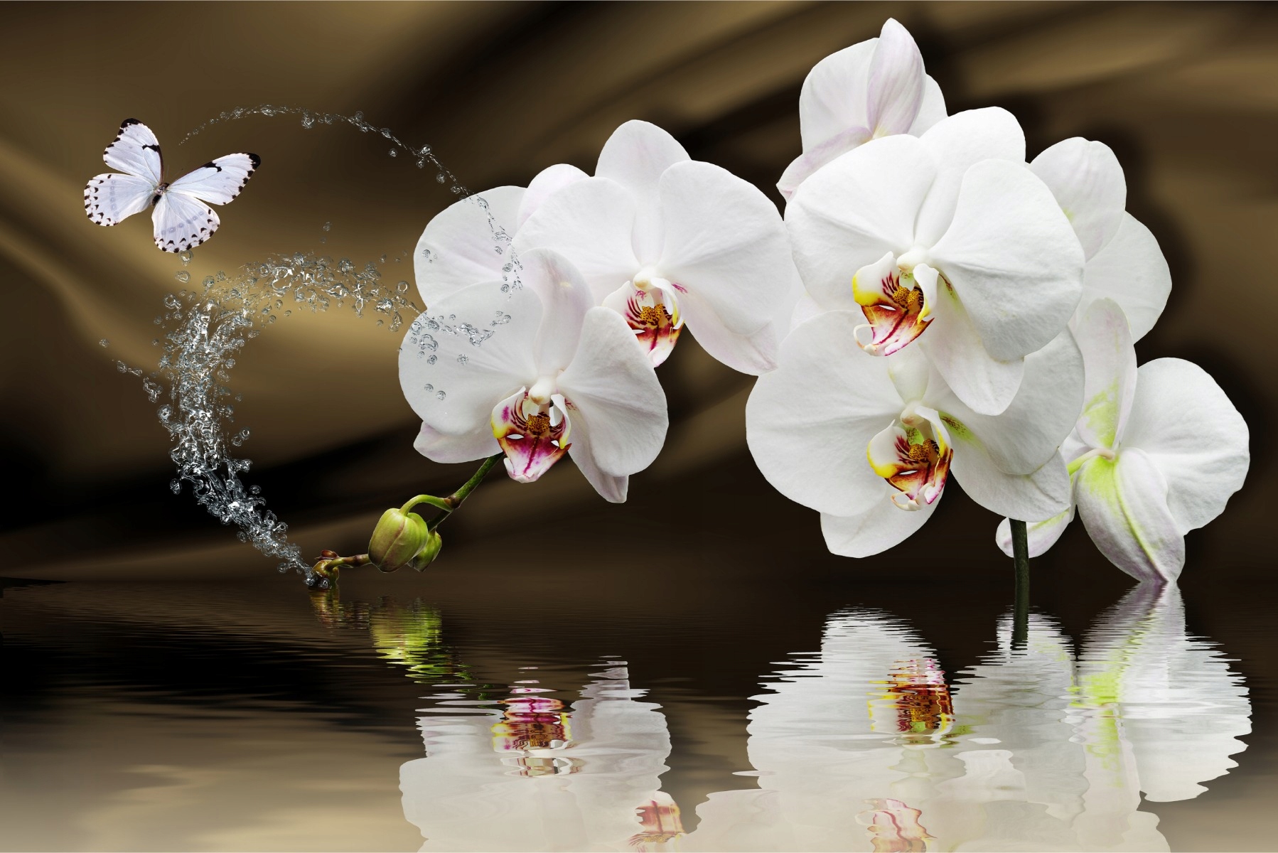 Fototapeta do obývacího pokoje orchideje motýl voda 450x300