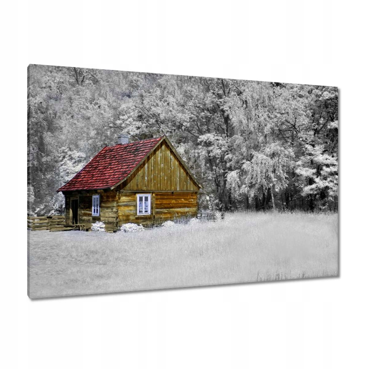 Obrazy 120x80 Dřevěný dům Bale