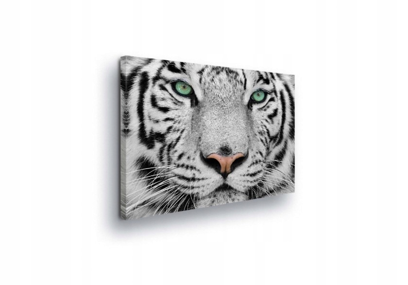 Obraz 100x75 Bílý tygr zelené oči divoká příroda zvíře portrét síla