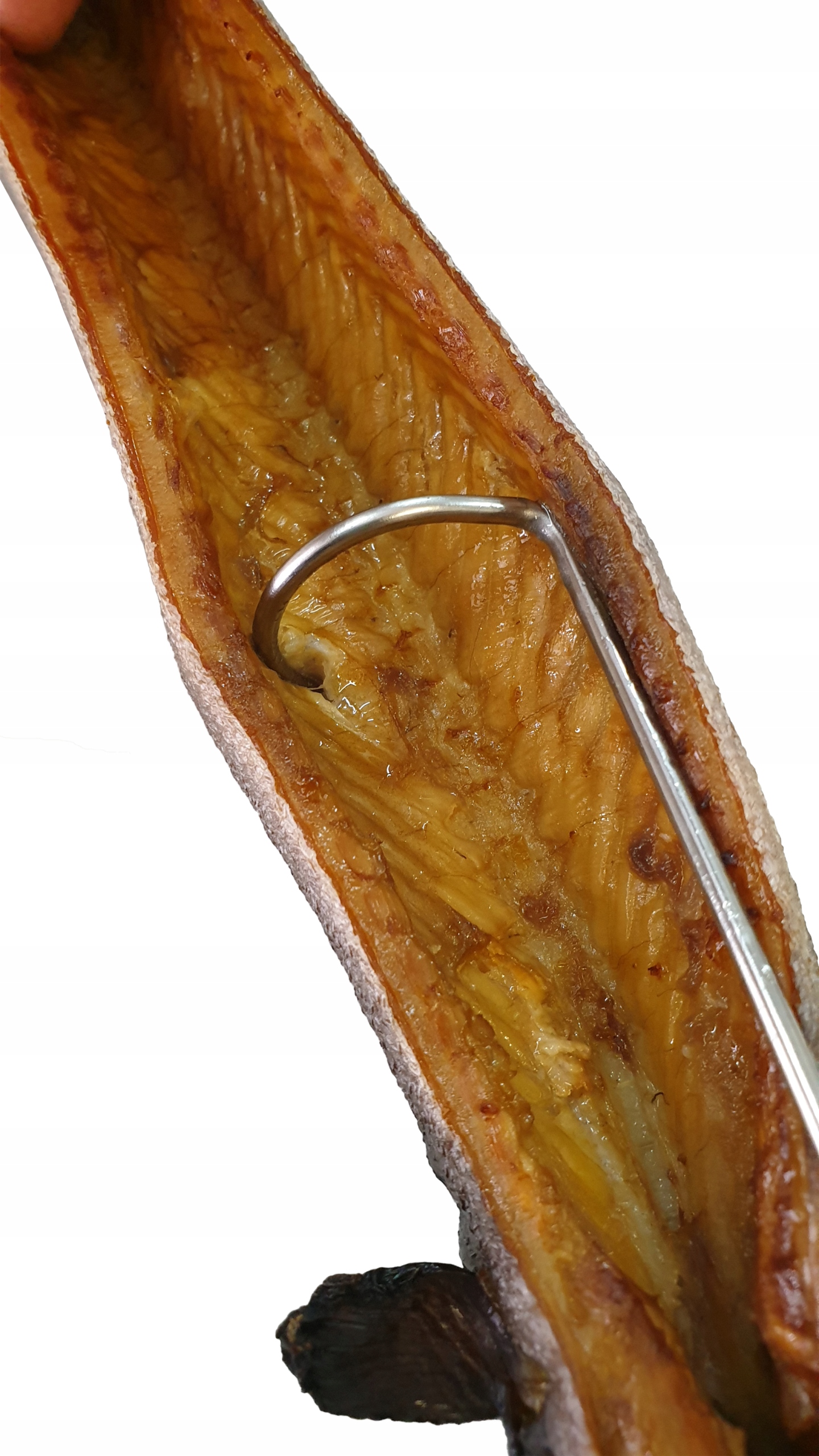 W-316 Hak Haki do wędzenia ryb wkręcane 16cm INOX Kod producenta W-316