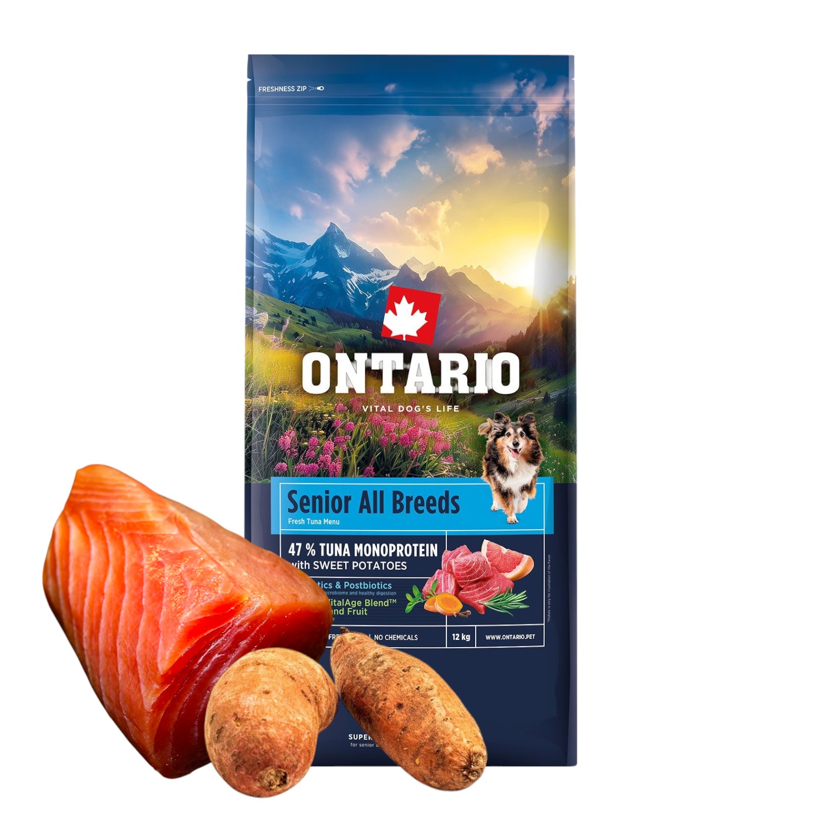 Levně Ontario Senior All Breads Mono Tuna & Brambory 12KG