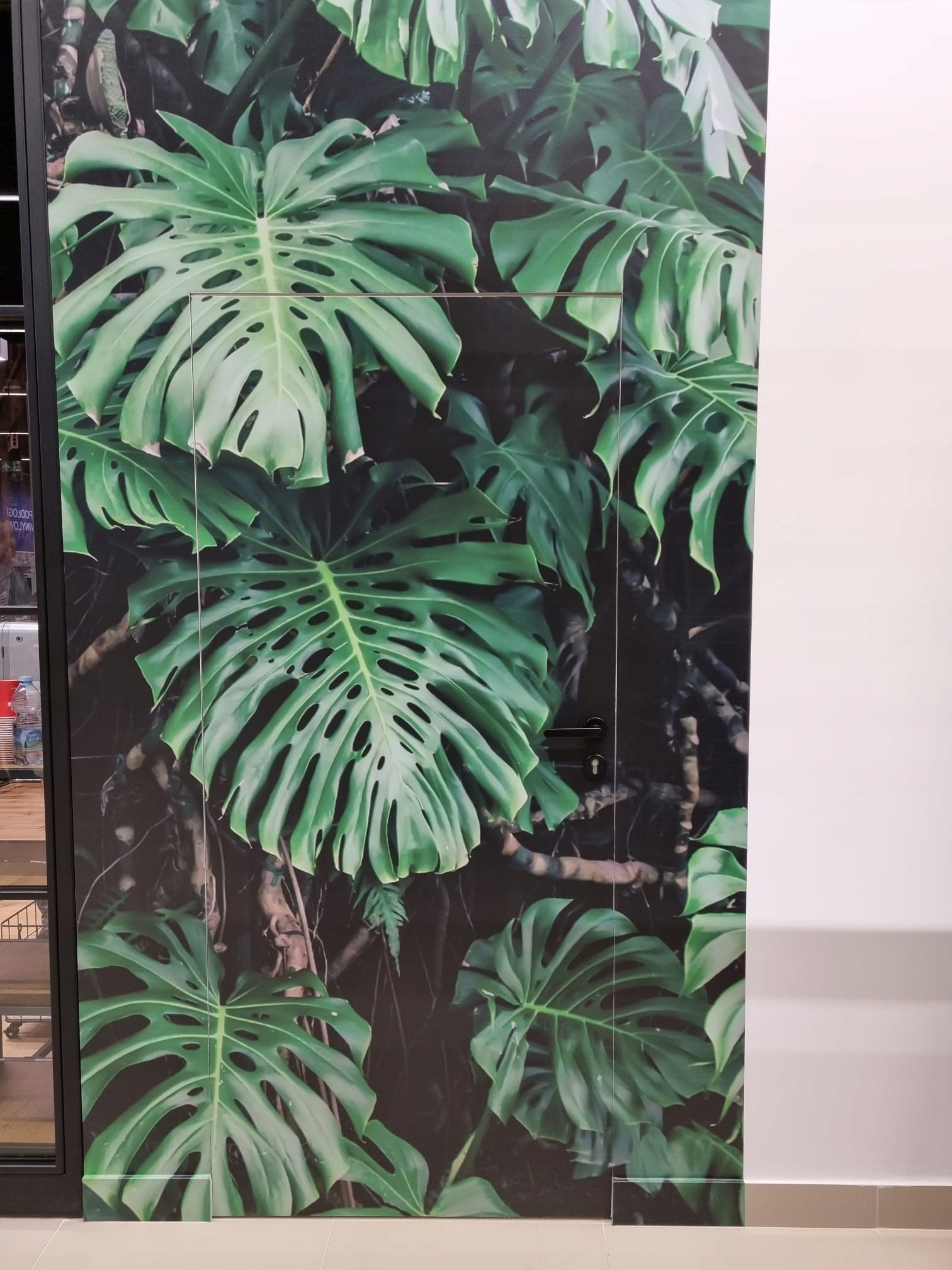 DRZWI + OŚCIEŻNICA UKRYTA Sara Color P 80 zewnątrz Strona prawe