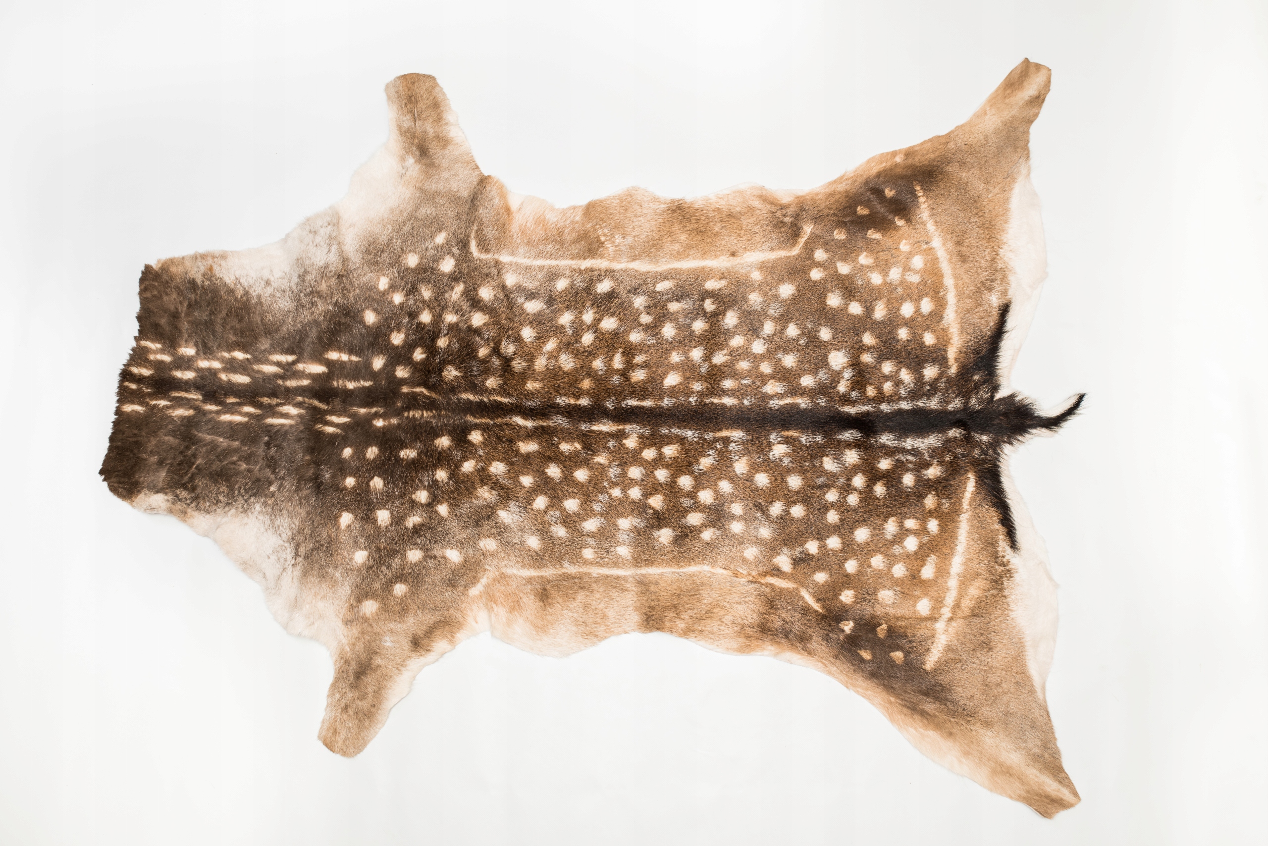 Prírodná koža z Daniela Dekoratívna koža z jeleňa Daniela