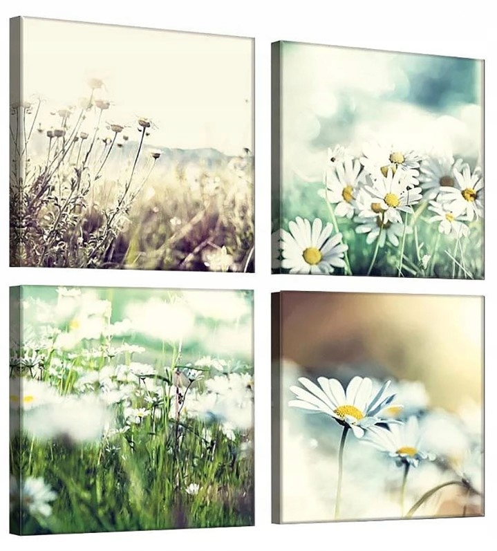 Obraz 50x50 Polní květy heřmánek léto slunce příroda svěžest klid