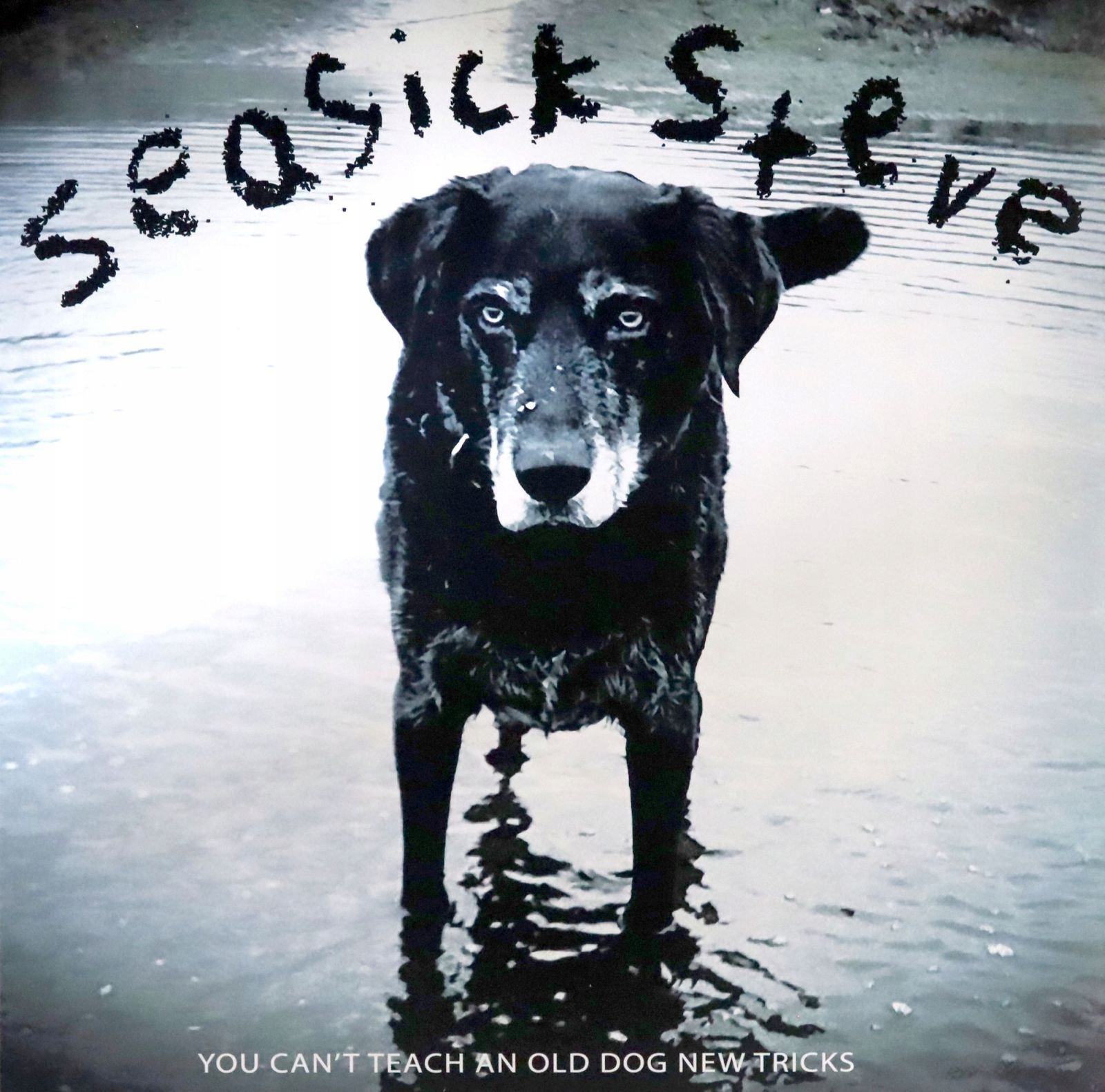 

Seasick Steve: You Cant Teach An Old Dog New Trick