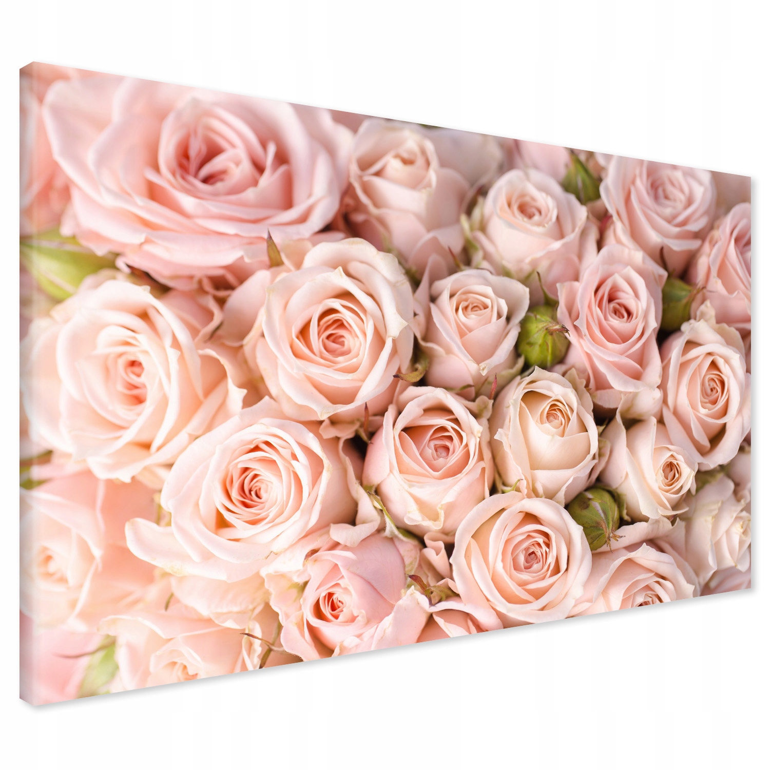 Obraz na płótnie 120x80 Róże Kwiaty Premium XXL Canvas do Salonu Sypialni