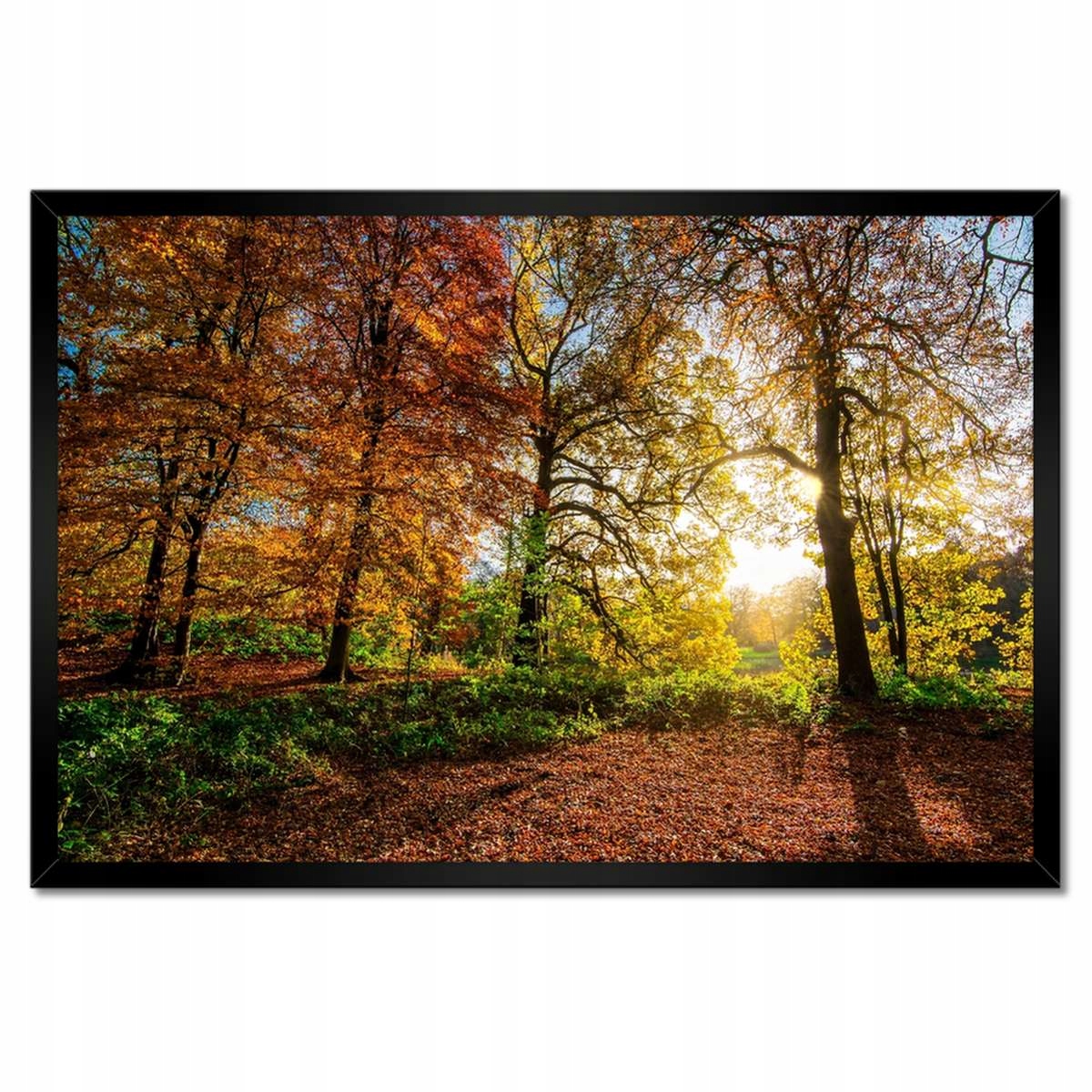 Plakáty v rámu 60x40 Krajina