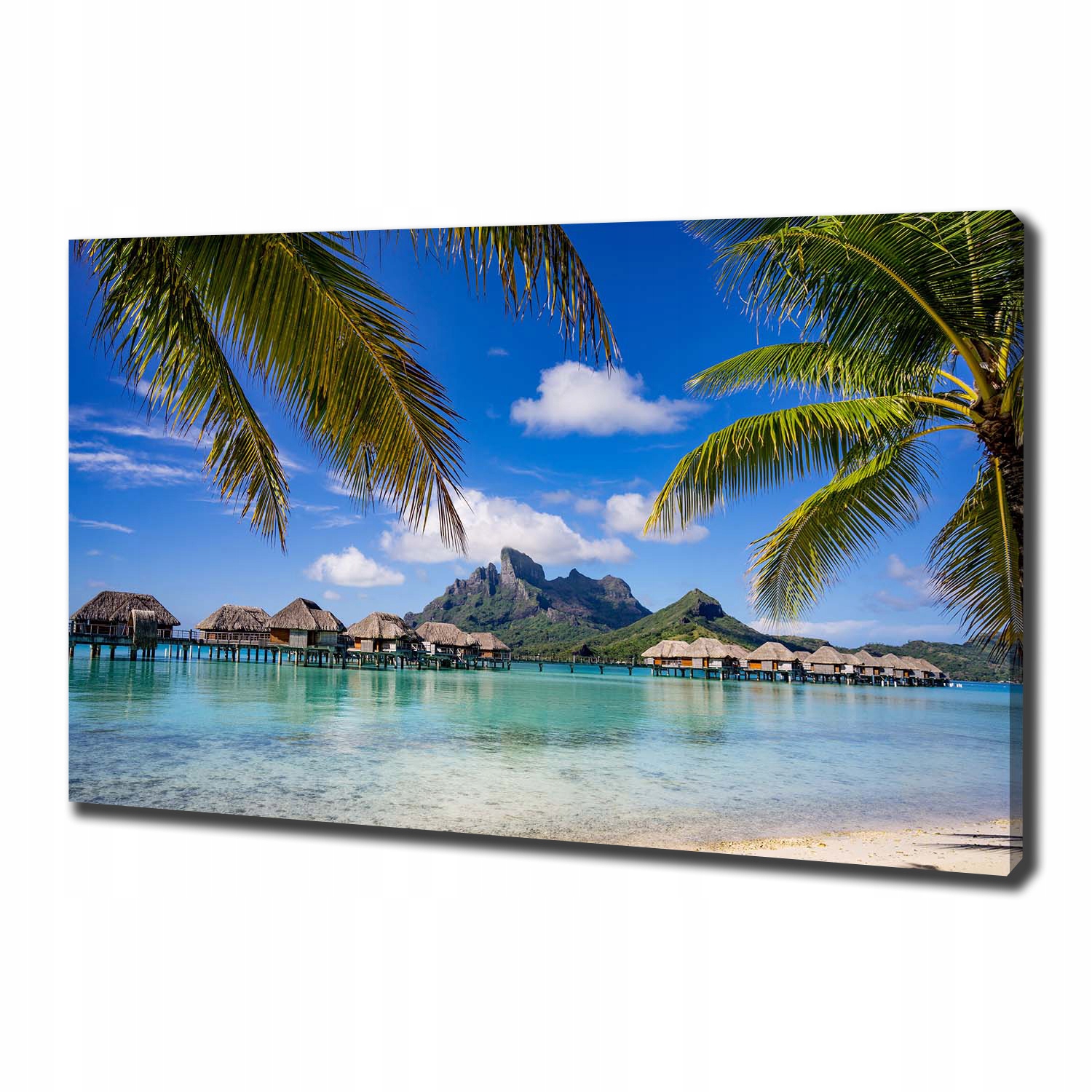 

Foto obraz na płótnie Palmy na Bora Bora 100x70 cm