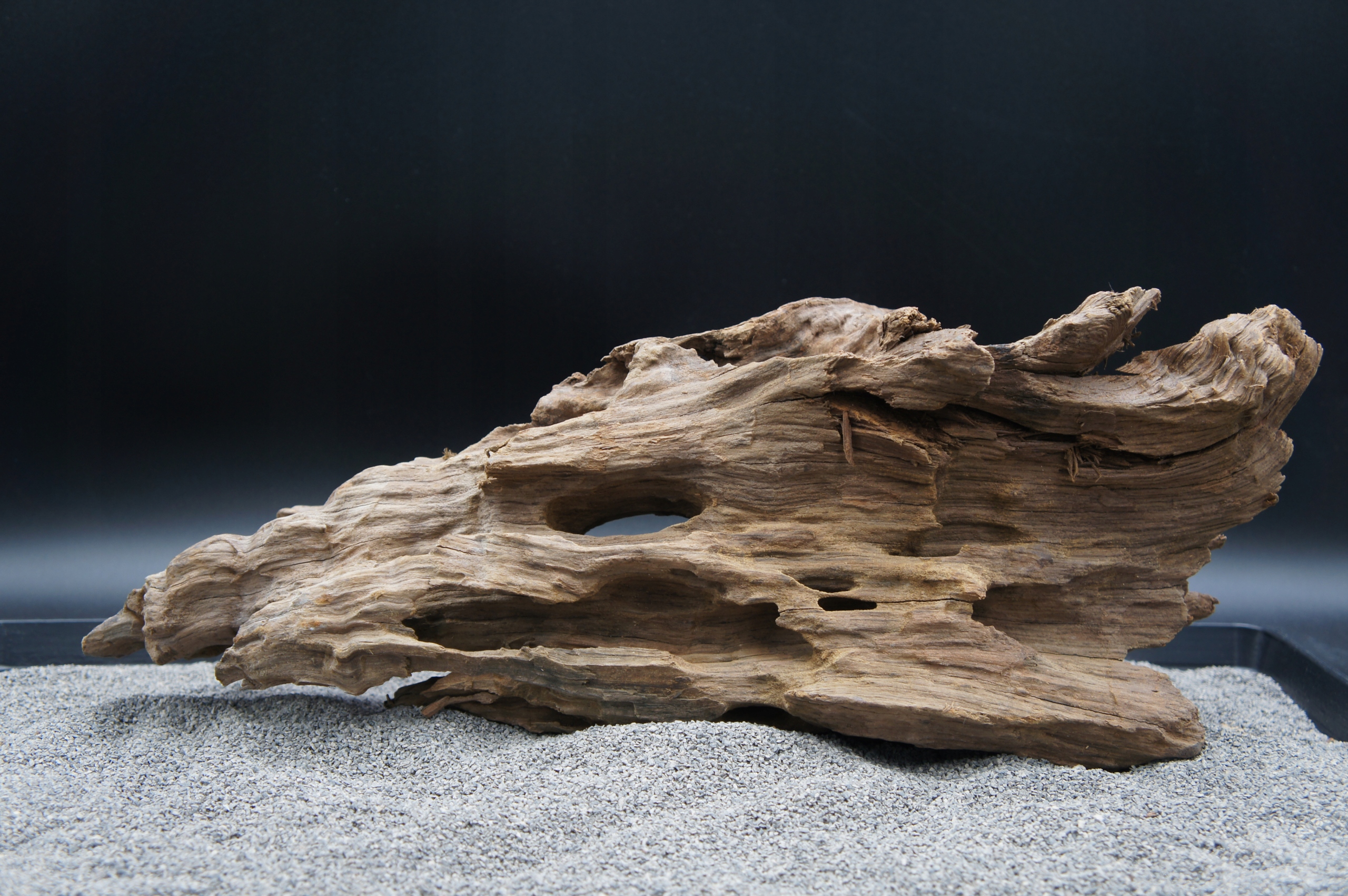 Levně Kořen pro terarijní akvárium Jagged wood 50 cm Ten, Který Je Na Obrázku (J24)