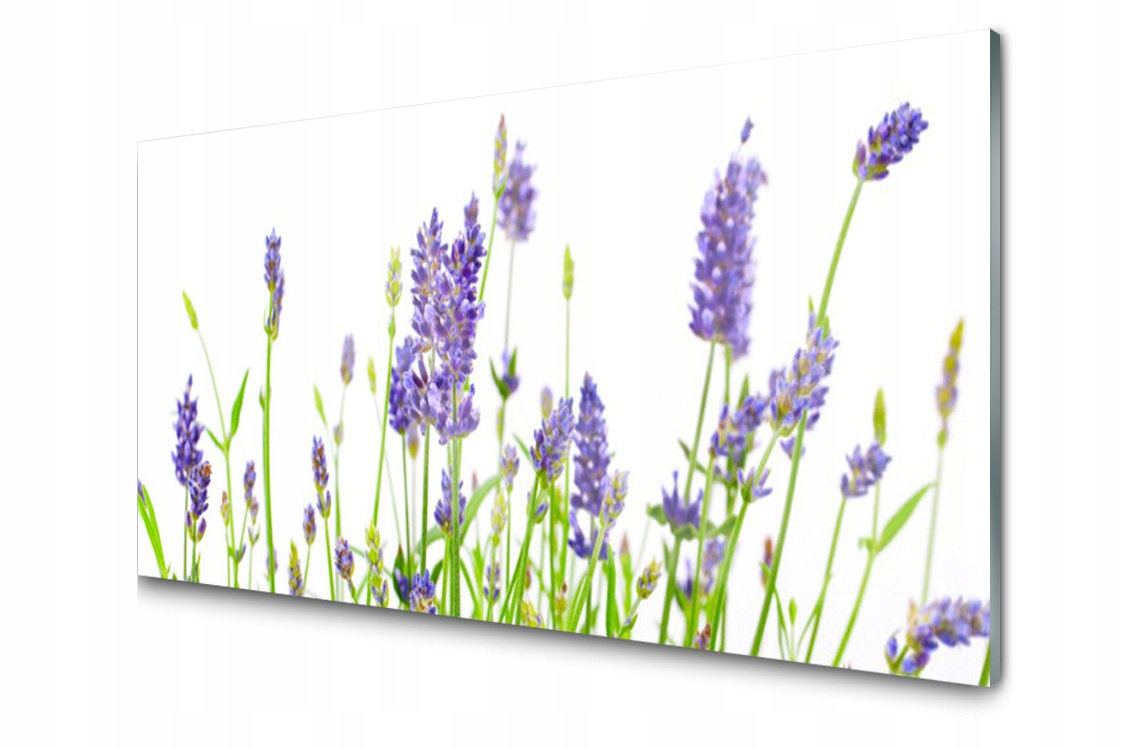 

Panel szklany dekor Kwiaty Lawenda 120x60 + Klej