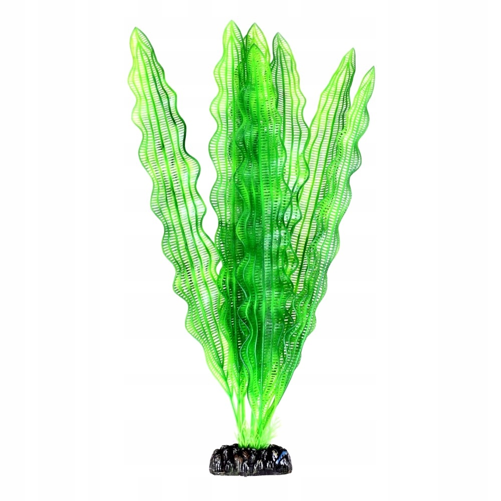 Umělá Akvarijní Rostlina Rostlinka Do Akvária Aponogeton 40 CM Ozdoba