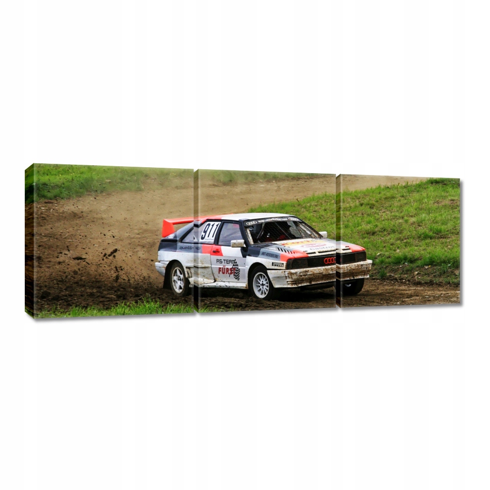 

Obraz 120x40 Audi Quattro w terenie