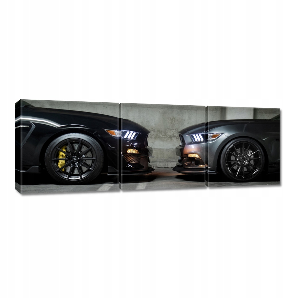 

Obrazy 60x20 Ford Mustang made in Usa