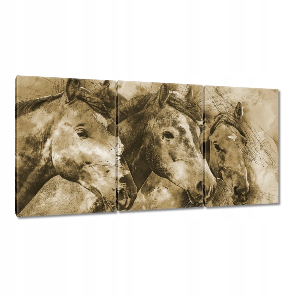 

Obrazy 120x60 Głowy końskie Łby koni