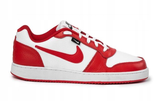 Pánské boty Nike Ebernon Low vel.