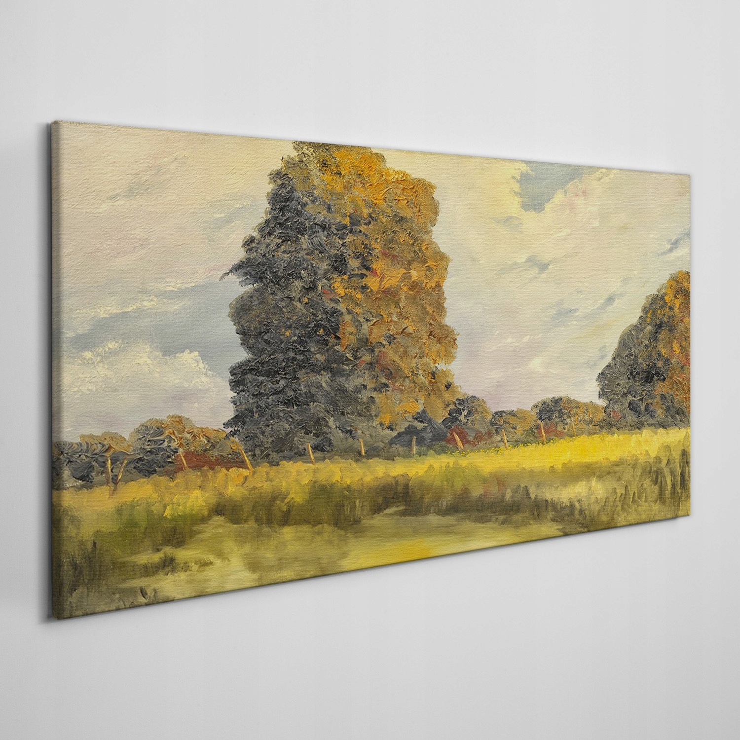 

Obraz na ramie płótno Las niebo przyroda 120x60 cm