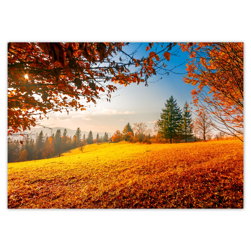

Fototapety flizelina 208x146 Jesienny krajobraz