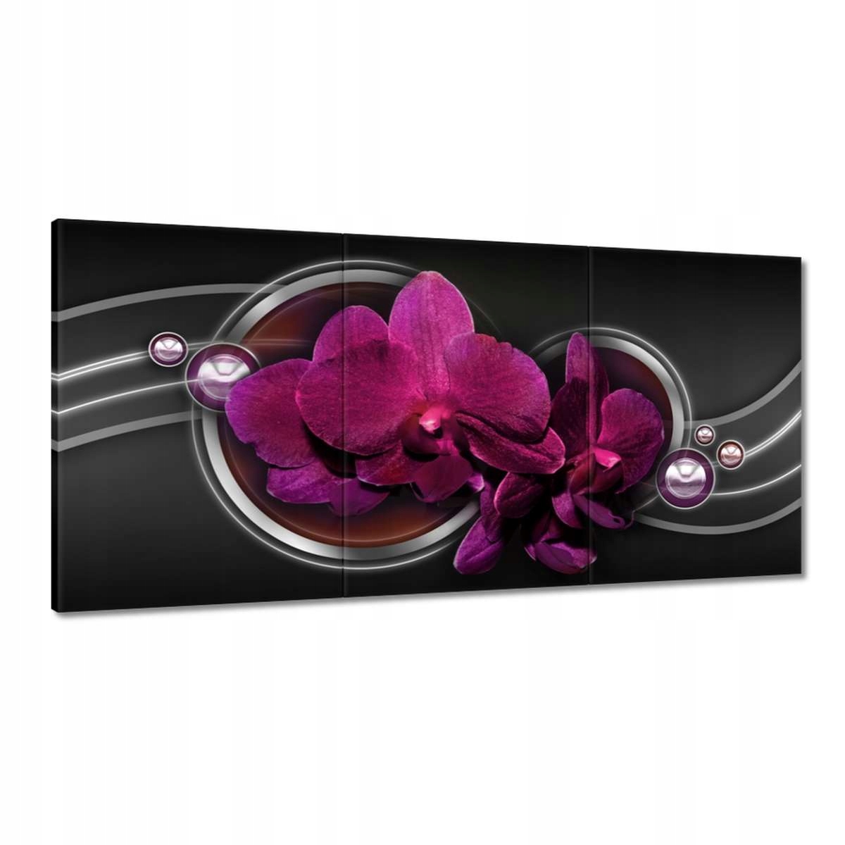 Obrazy 180x90 Orchidej Květ Květiny