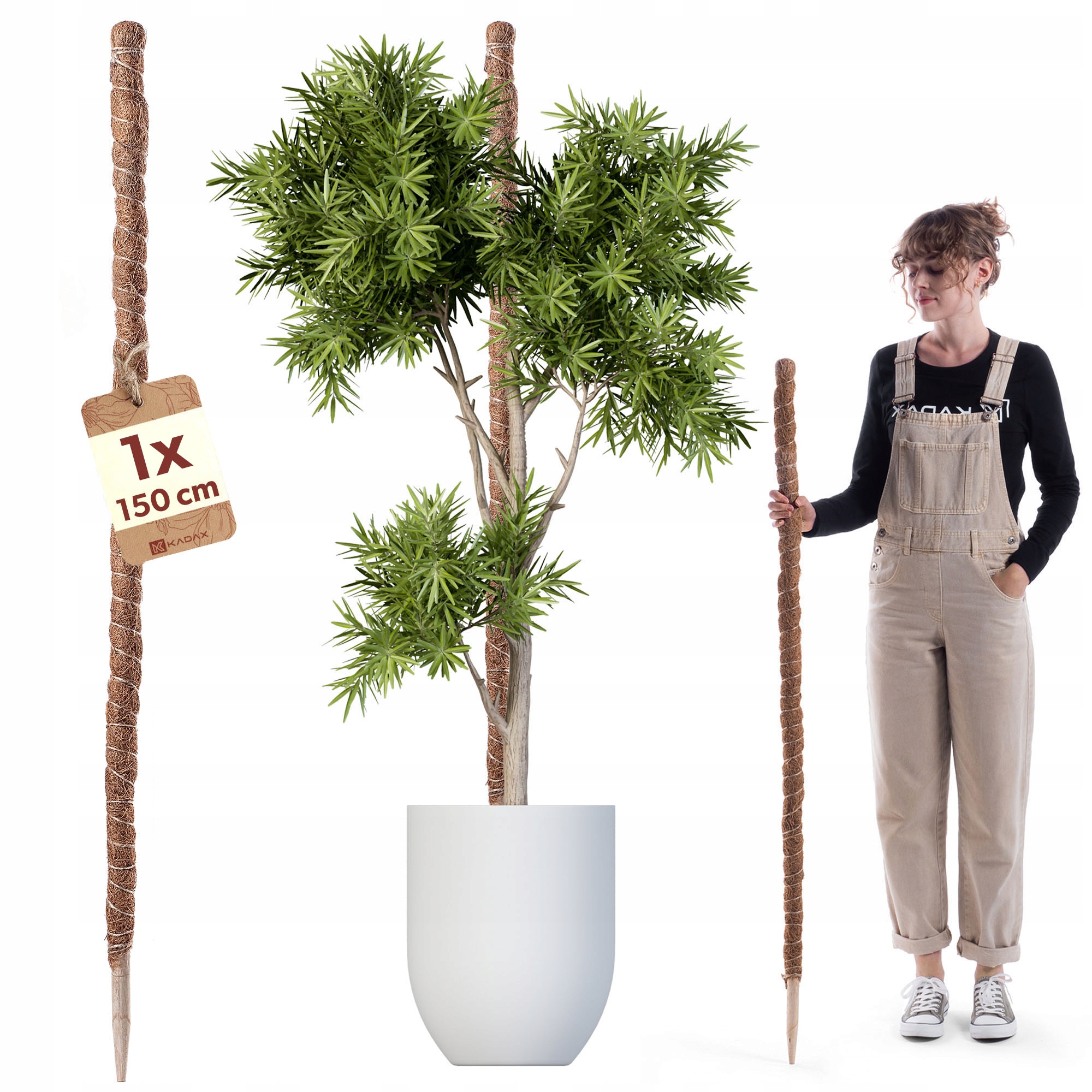 PODPORA DO ROŚLIN KWIATÓW 150cm PALIK KOKOSOWY 4,5 TYCZKA PAŁKA DO MONSTERY