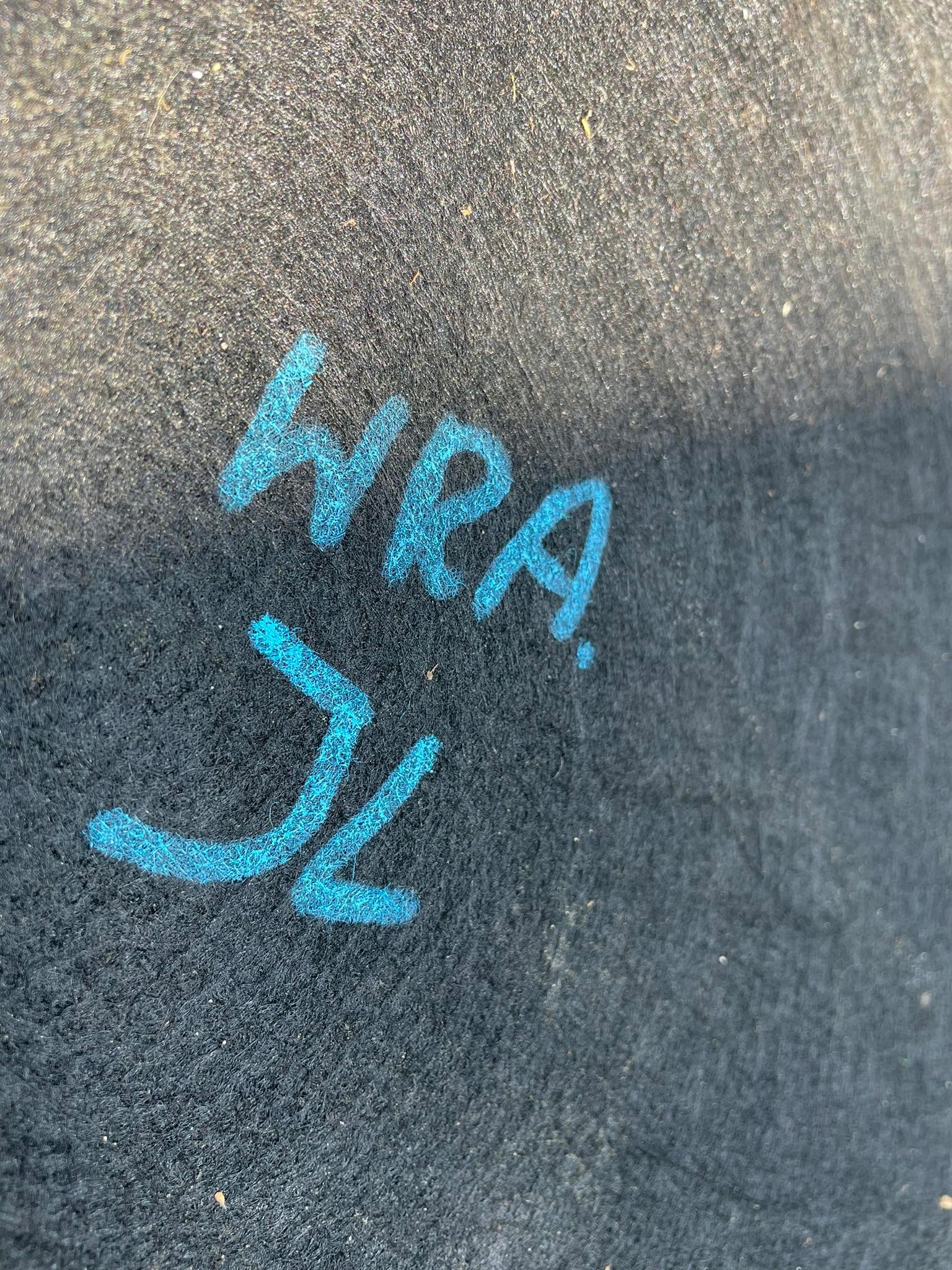 WRANGLER JL ковер