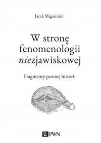 W stronę fenomenologii niezjawiskowej